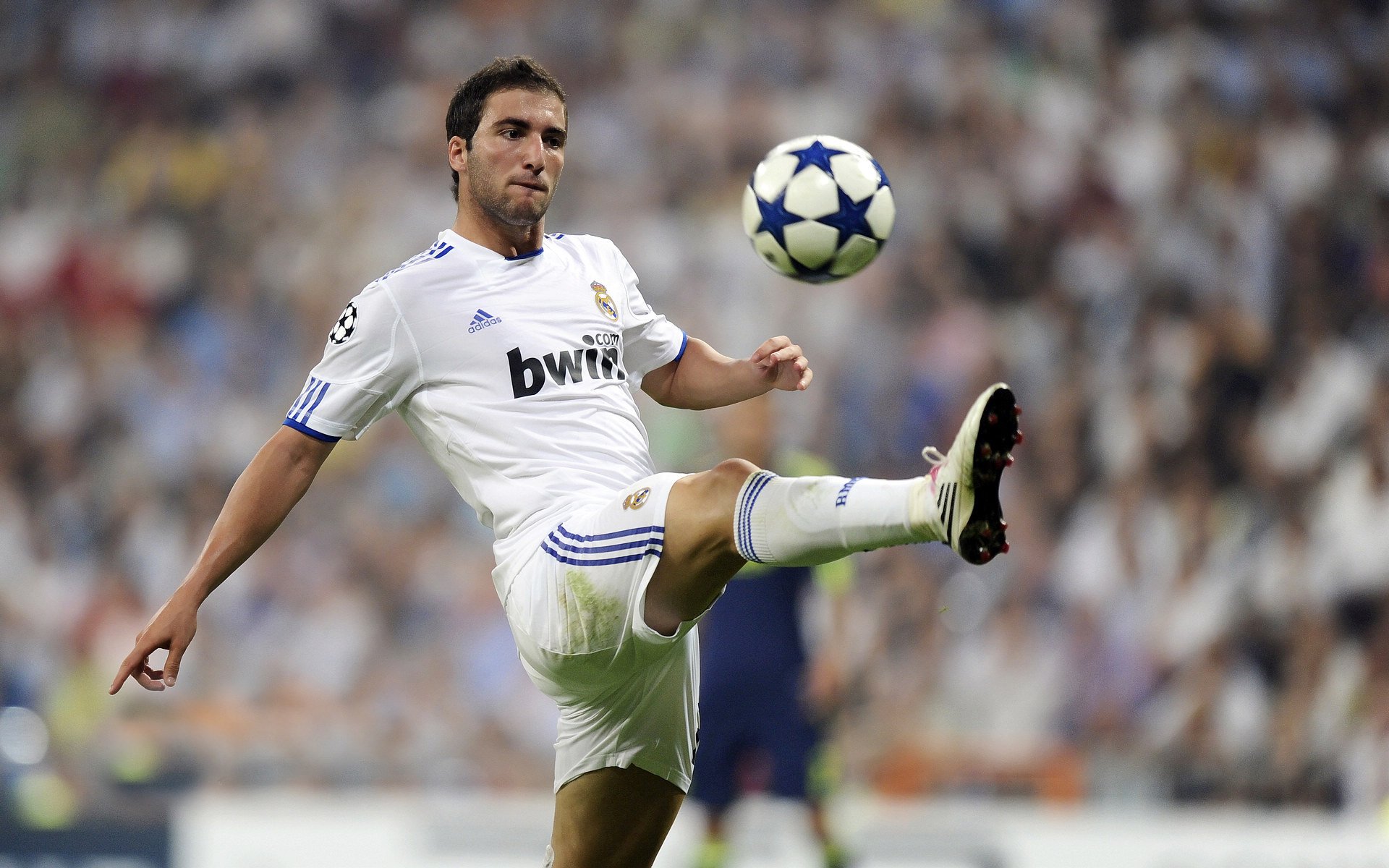 美洲杯荣耀时刻：英雄辈出成就奇迹，美洲杯冠军争夺