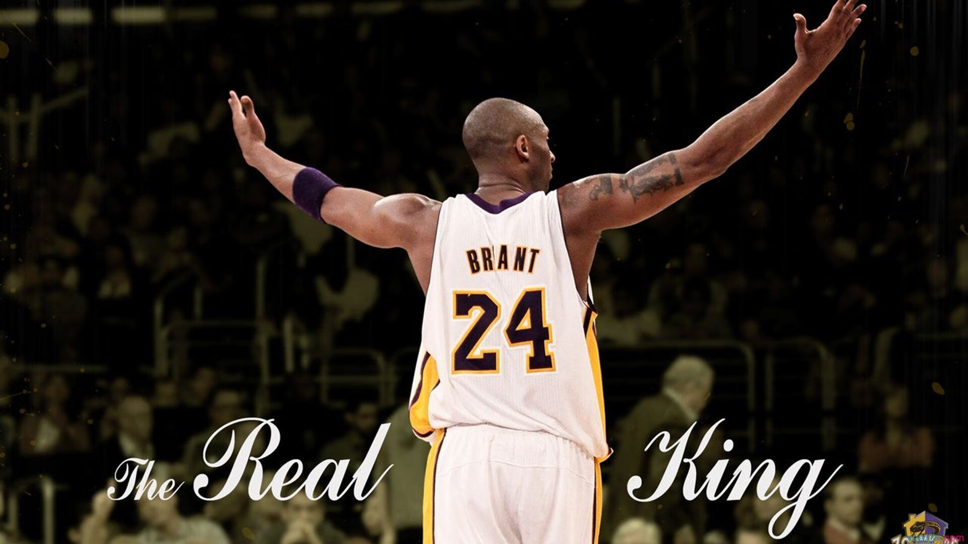 JIUYOU GAMING-“尼古拉斯·桑特基的精湛技巧与领导力，成就阿根廷美洲狮队的未来”